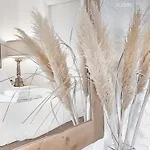 Top Suites